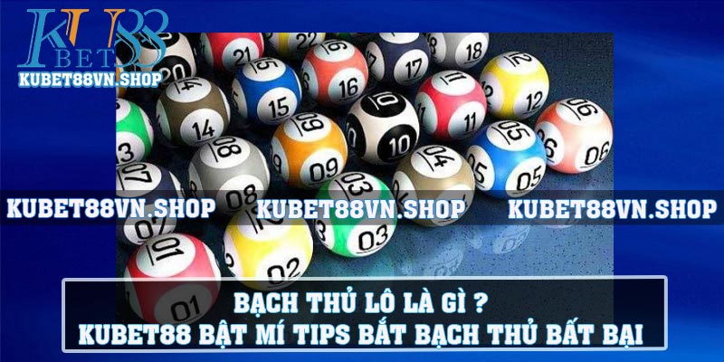 Bạch Thủ Lô Là Gì ? Kubet88 Bật Mí Tips Bắt Bạch Thủ Bất Bại