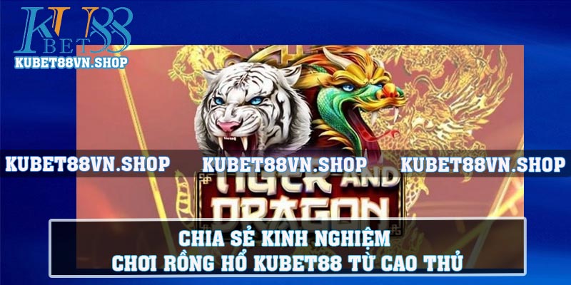 Chia sẻ Kinh Nghiệm Chơi Rồng Hổ KUBET88 từ cao thủ