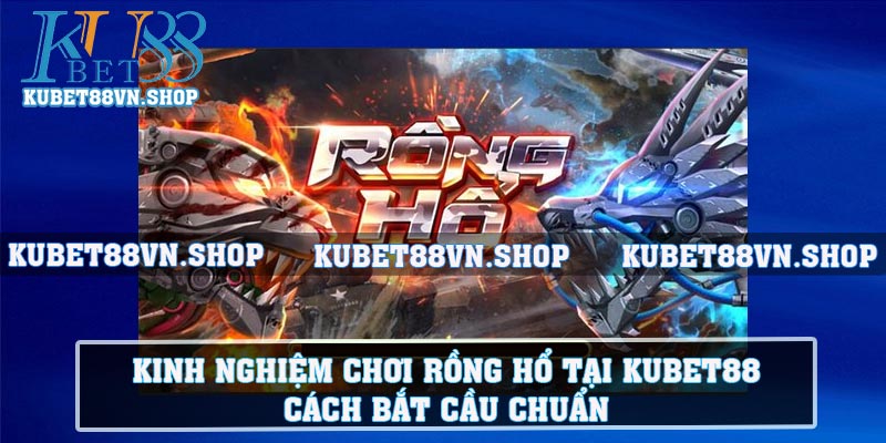 Kinh Nghiệm Chơi Rồng Hổ Tại KUBET88 – Cách bắt cầu chuẩn