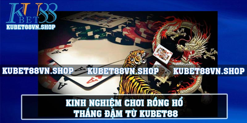 Kinh Nghiệm Chơi Rồng Hổ Thắng Đậm Từ Kubet88