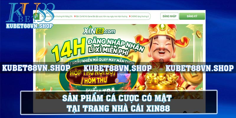 Sản phẩm cá cược có mặt tại trang nhà cái XIN88